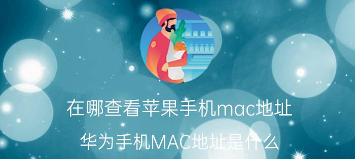 在哪查看苹果手机mac地址 华为手机MAC地址是什么？